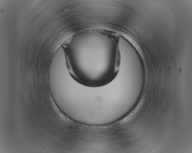 X0000087380905200705181239