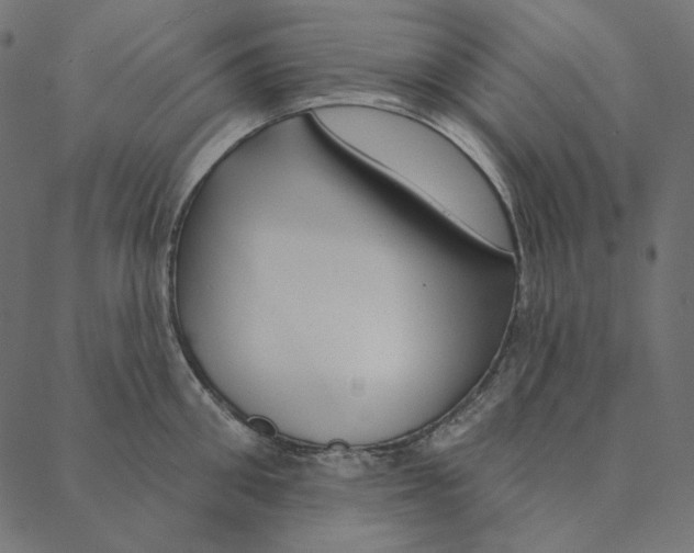 X0000087380906200705181239