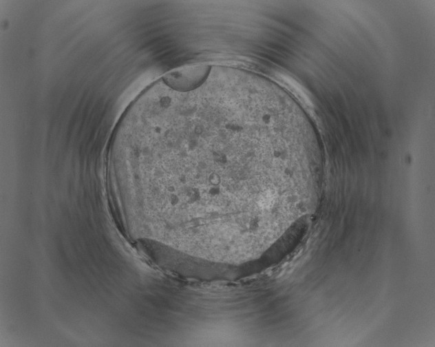 X0000087380907200705181239