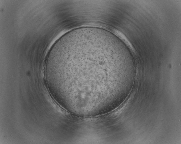 X0000087380908200705181239