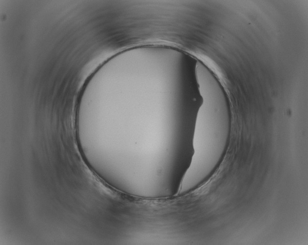 X0000087380910200705181239