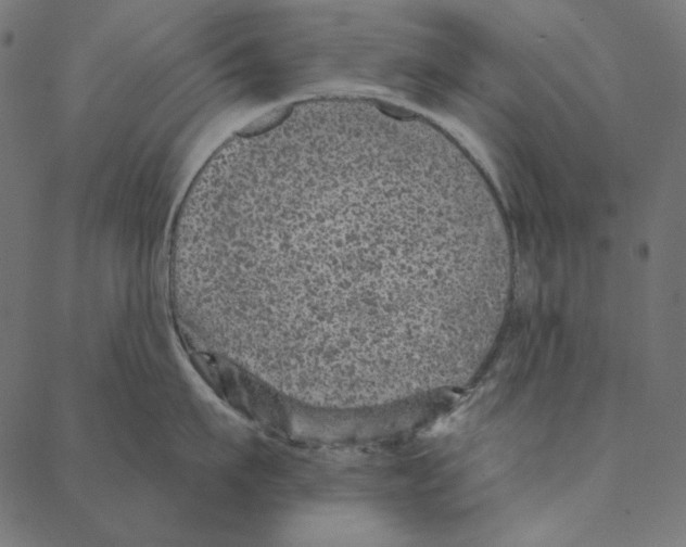 X0000087380911200705181239