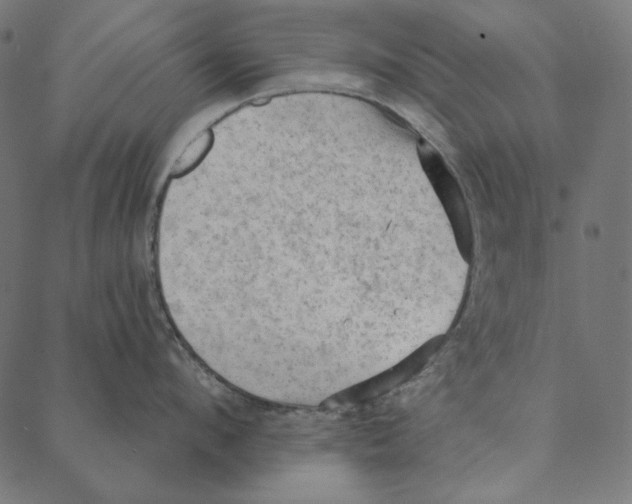 X0000087380912200705181239