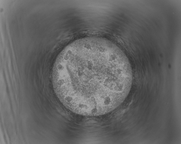 X0000087380913200705181238