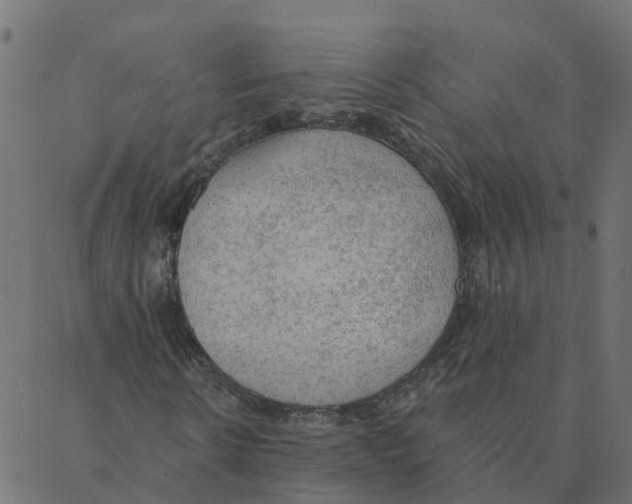 X0000087380914200705181238