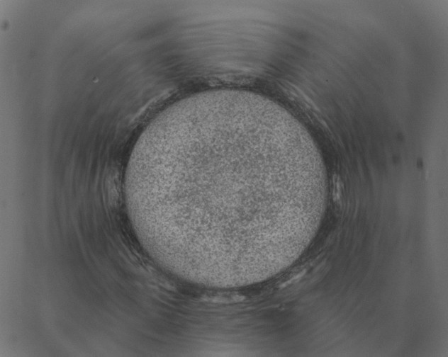 X0000087380915200705181238