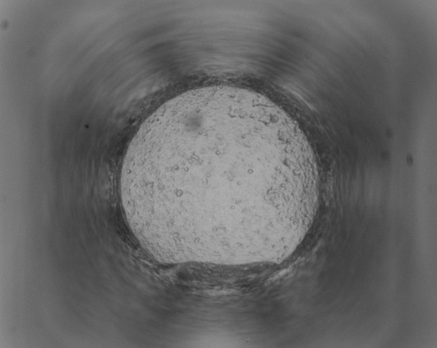 X0000087380917200705181238