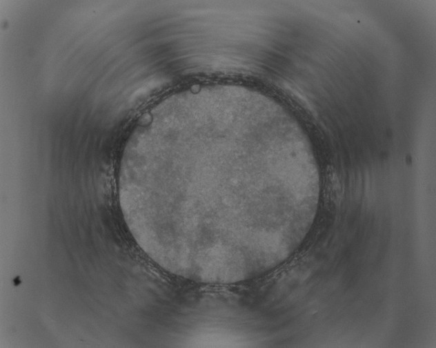 X0000087380918200705181238