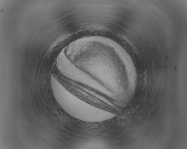 X0000087380919200705181238