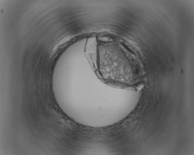 X0000087380920200705181238