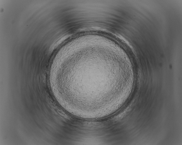 X0000087380921200705181238