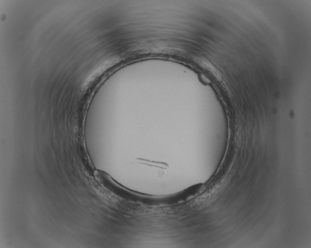 X0000087380922200705181238