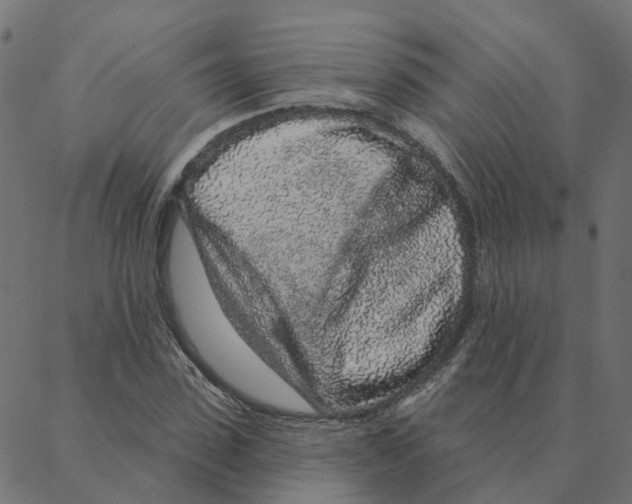 X0000087380923200705181238