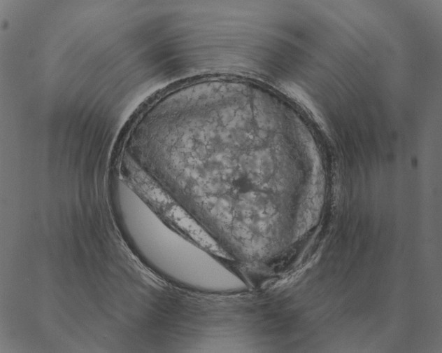 X0000087380924200705181238