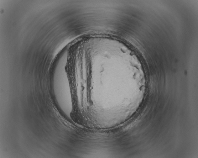 X0000087380925200705181238