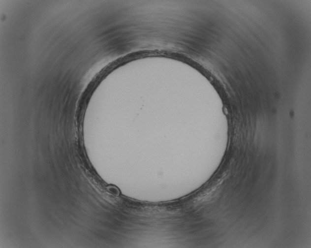 X0000087380927200705181238