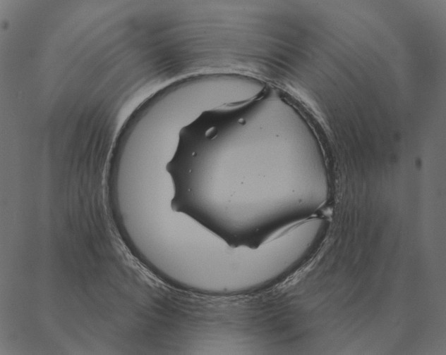 X0000087380928200705181238