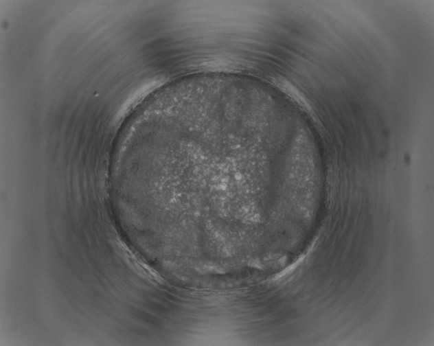 X0000087380930200705181238