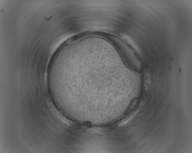 X0000087380932200705181238