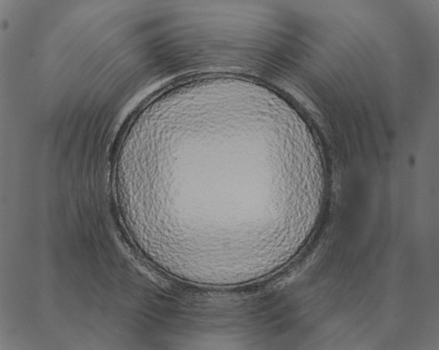 X0000087380933200705181238