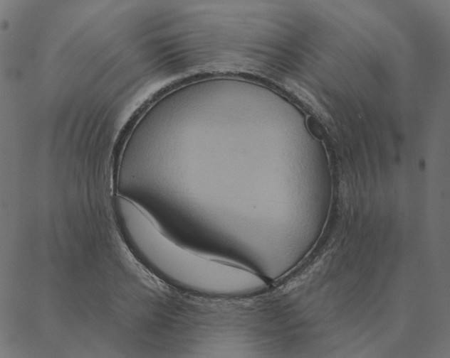 X0000087380934200705181238