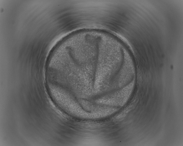 X0000087380935200705181238