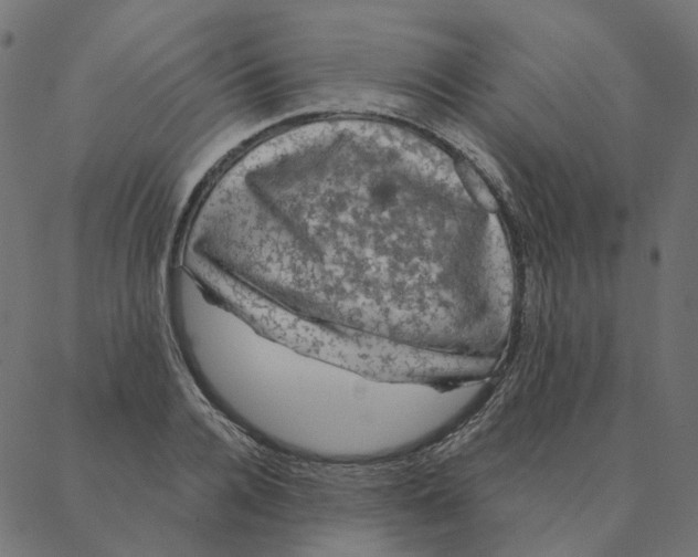 X0000087380936200705181238