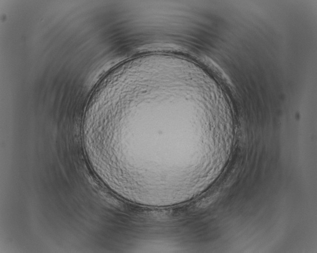 X0000087380937200705181239