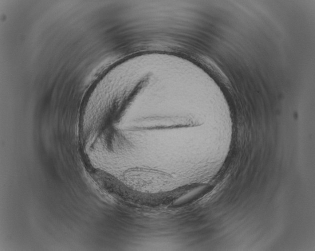 X0000087380938200705181239