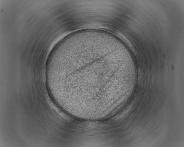 X0000087380939200705181239