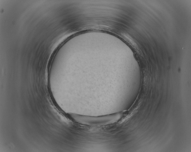 X0000087380940200705181239