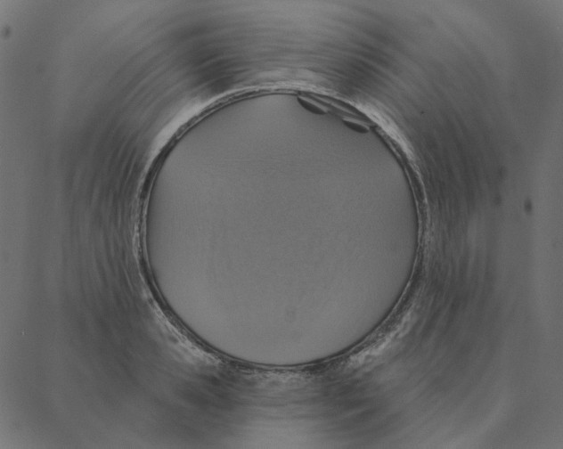 X0000087380941200705181239