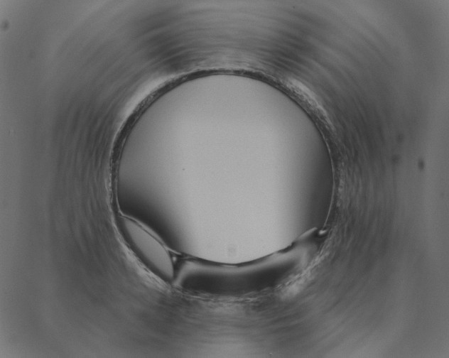 X0000087380942200705181239