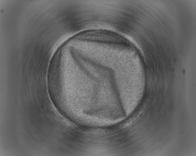 X0000087380943200705181239