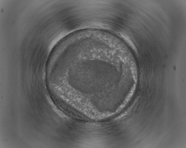 X0000087380944200705181239