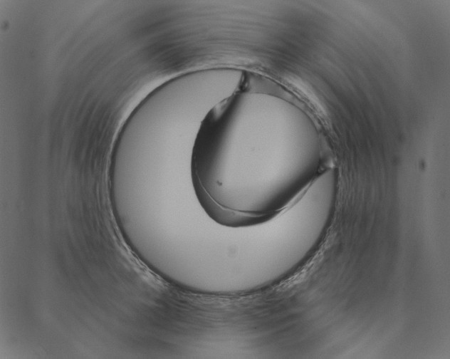 X0000087380948200705181239