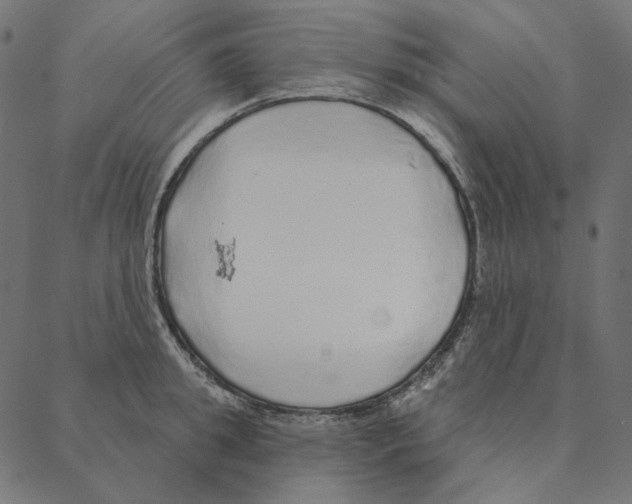 X0000087380949200705181239