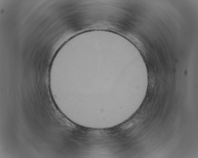 X0000087380950200705181239