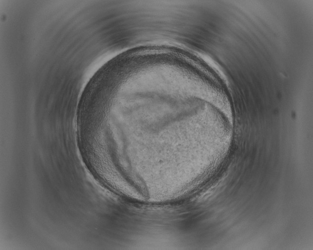 X0000087380951200705181239