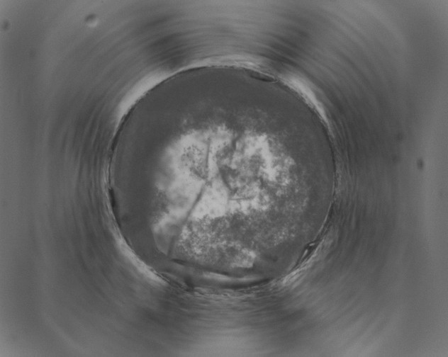 X0000087380952200705181239