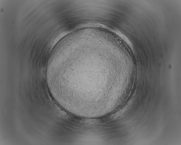 X0000087380953200705181239