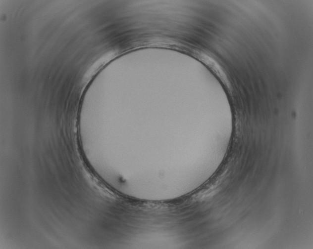 X0000087380954200705181239