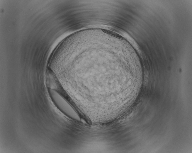 X0000087380955200705181239