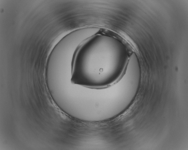 X0000087380956200705181239