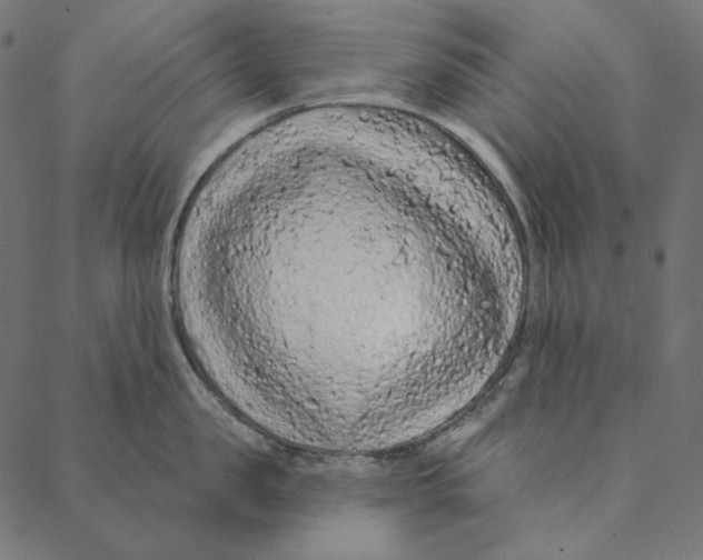 X0000087380957200705181239