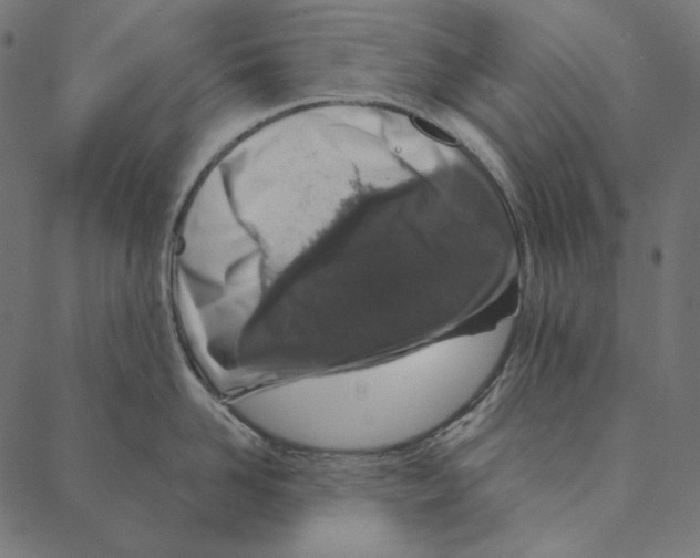 X0000087380958200705181239