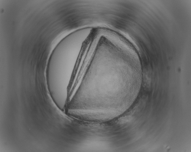 X0000087380959200705181239