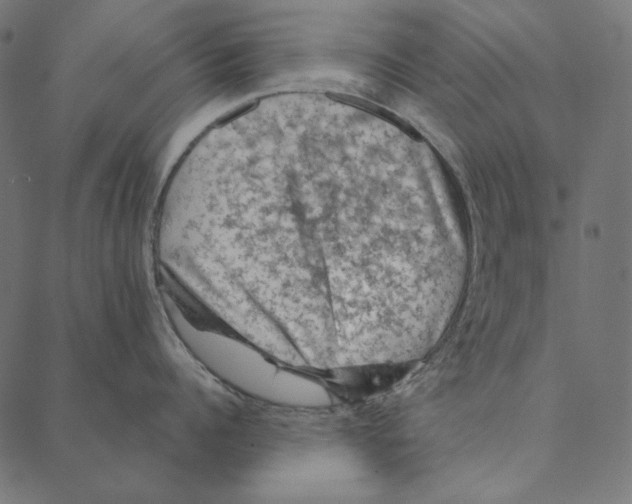 X0000087380960200705181239