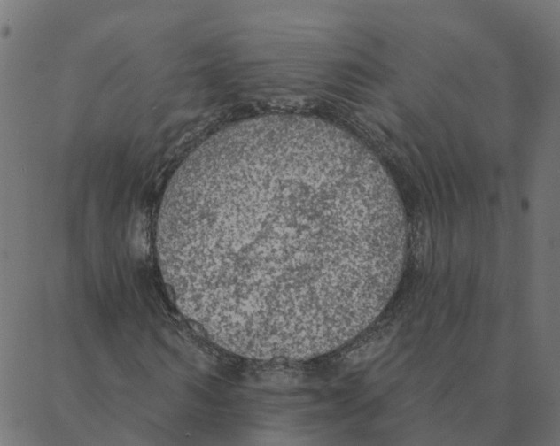 X0000087380962200705181238