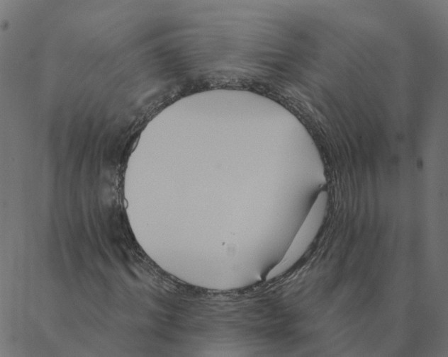 X0000087380964200705181238